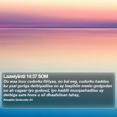 Laawiyiintii 14:37 SOM Bible Verse Image
