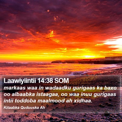 Laawiyiintii 14:38 SOM Bible Verse Image