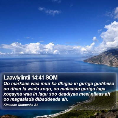 Laawiyiintii 14:41 SOM Bible Verse Image