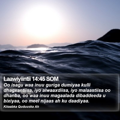 Laawiyiintii 14:45 SOM Bible Verse Image