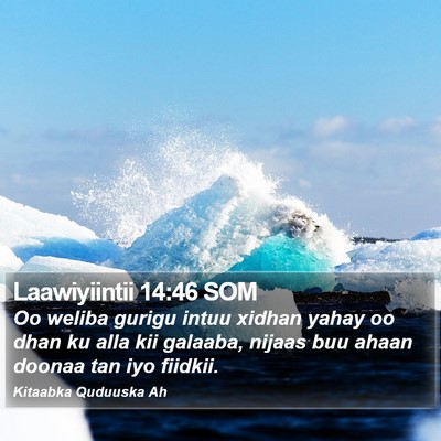 Laawiyiintii 14:46 SOM Bible Verse Image