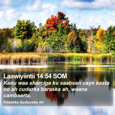 Laawiyiintii 14:54 SOM Bible Verse Image