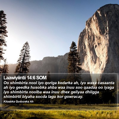 Laawiyiintii 14:6 SOM Bible Verse Image