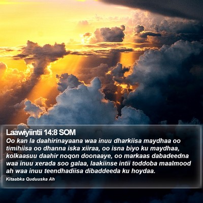 Laawiyiintii 14:8 SOM Bible Verse Image