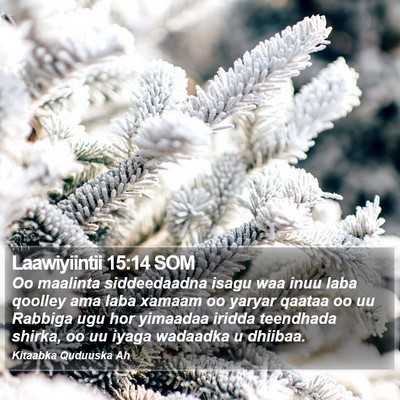 Laawiyiintii 15:14 SOM Bible Verse Image
