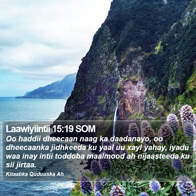 Laawiyiintii 15:19 SOM Bible Verse Image