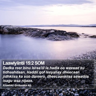 Laawiyiintii 15:2 SOM Bible Verse Image