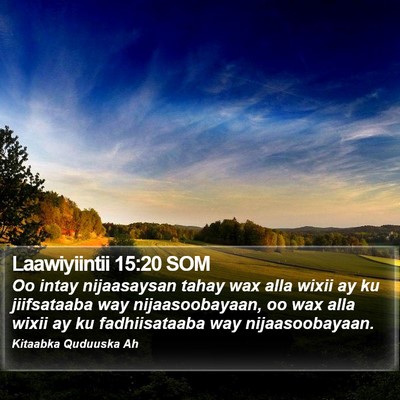 Laawiyiintii 15:20 SOM Bible Verse Image