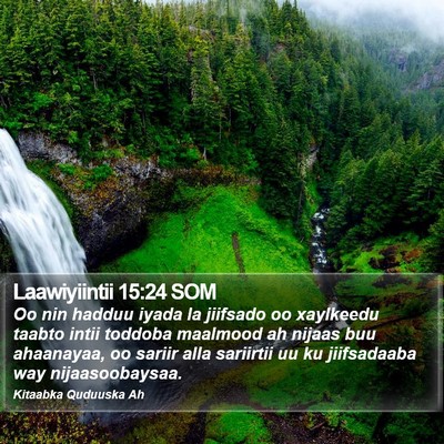 Laawiyiintii 15:24 SOM Bible Verse Image