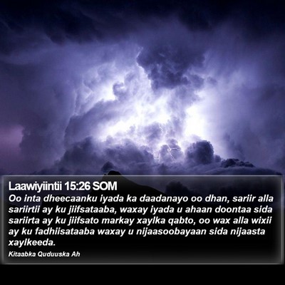 Laawiyiintii 15:26 SOM Bible Verse Image