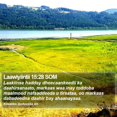 Laawiyiintii 15:28 SOM Bible Verse Image