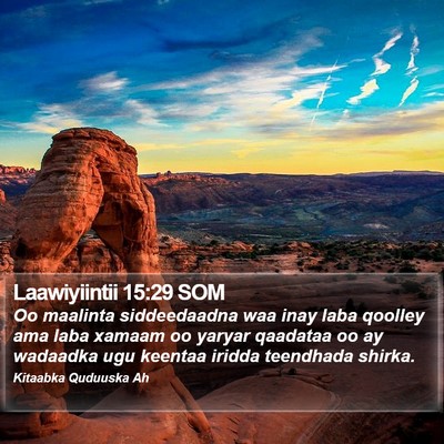 Laawiyiintii 15:29 SOM Bible Verse Image