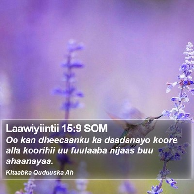 Laawiyiintii 15:9 SOM Bible Verse Image