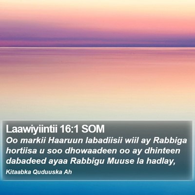 Laawiyiintii 16:1 SOM Bible Verse Image