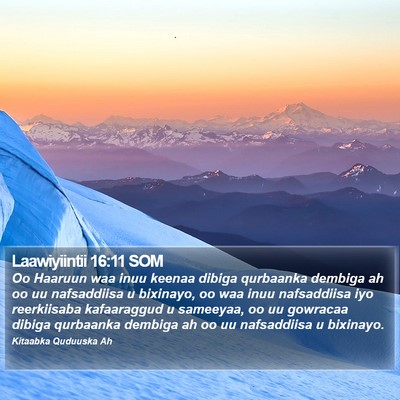 Laawiyiintii 16:11 SOM Bible Verse Image