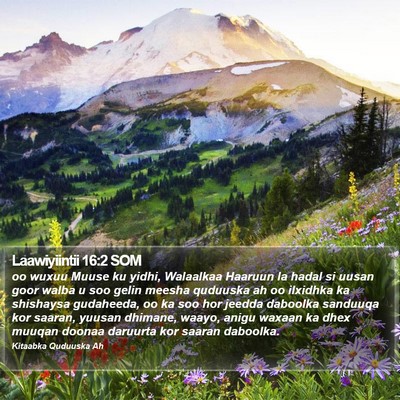Laawiyiintii 16:2 SOM Bible Verse Image
