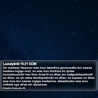 Laawiyiintii 16:21 SOM Bible Verse Image