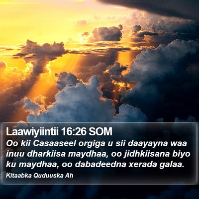 Laawiyiintii 16:26 SOM Bible Verse Image