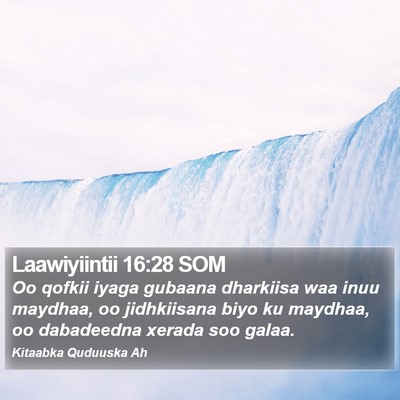 Laawiyiintii 16:28 SOM Bible Verse Image