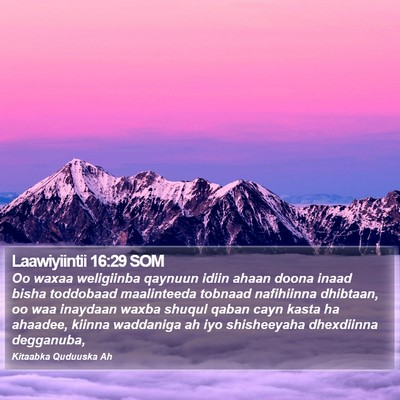 Laawiyiintii 16:29 SOM Bible Verse Image