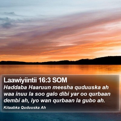 Laawiyiintii 16:3 SOM Bible Verse Image