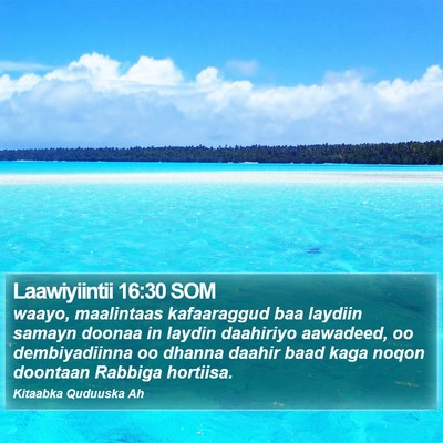 Laawiyiintii 16:30 SOM Bible Verse Image