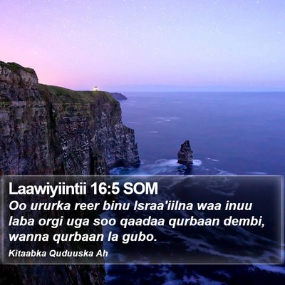Laawiyiintii 16:5 SOM Bible Verse Image