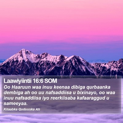 Laawiyiintii 16:6 SOM Bible Verse Image