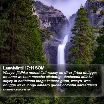 Laawiyiintii 17:11 SOM Bible Verse Image