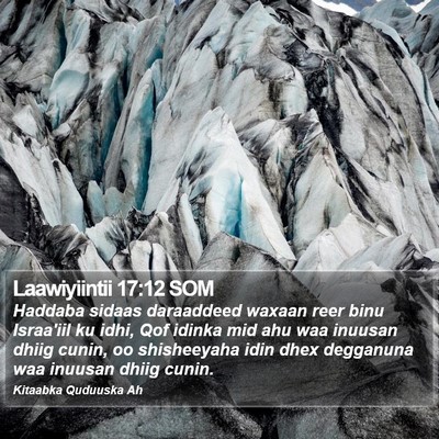 Laawiyiintii 17:12 SOM Bible Verse Image