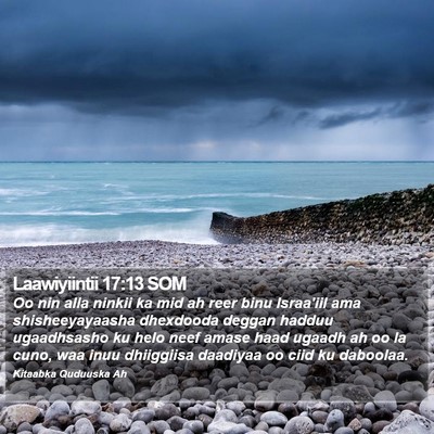 Laawiyiintii 17:13 SOM Bible Verse Image