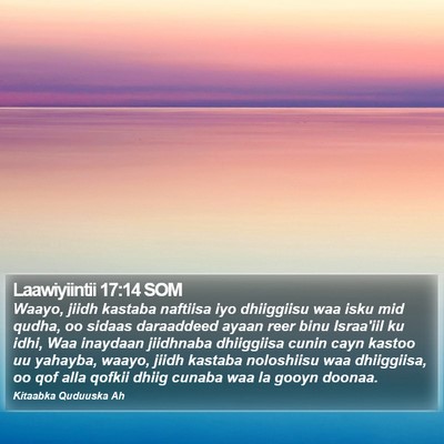 Laawiyiintii 17:14 SOM Bible Verse Image