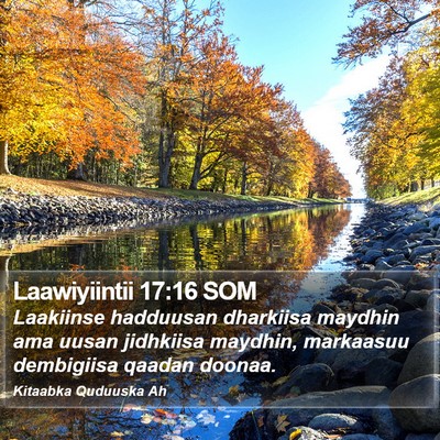 Laawiyiintii 17:16 SOM Bible Verse Image