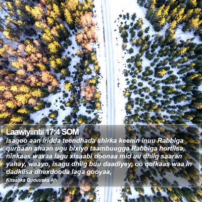 Laawiyiintii 17:4 SOM Bible Verse Image
