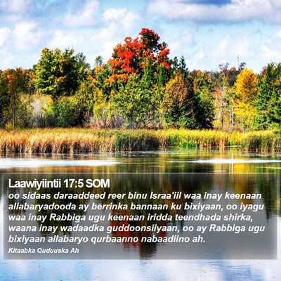 Laawiyiintii 17:5 SOM Bible Verse Image