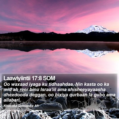 Laawiyiintii 17:8 SOM Bible Verse Image