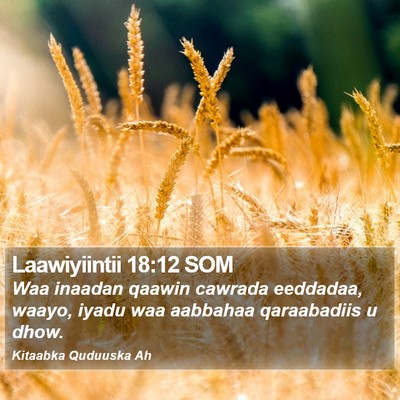 Laawiyiintii 18:12 SOM Bible Verse Image