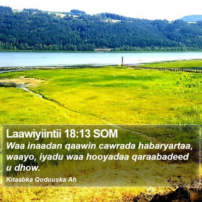 Laawiyiintii 18:13 SOM Bible Verse Image