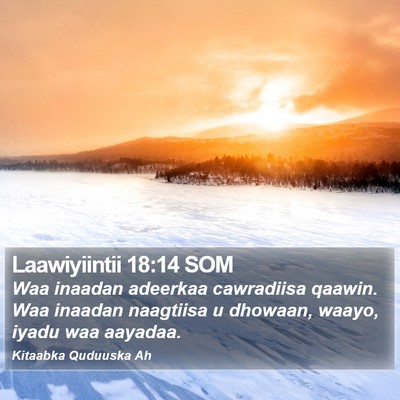 Laawiyiintii 18:14 SOM Bible Verse Image