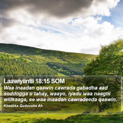 Laawiyiintii 18:15 SOM Bible Verse Image