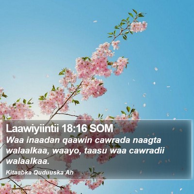 Laawiyiintii 18:16 SOM Bible Verse Image
