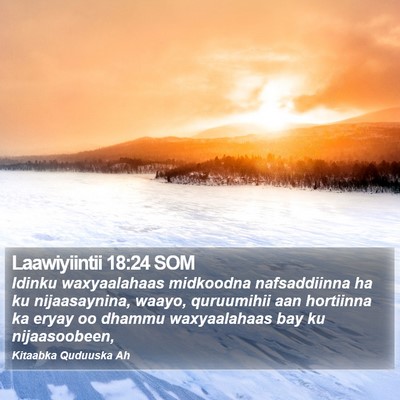 Laawiyiintii 18:24 SOM Bible Verse Image
