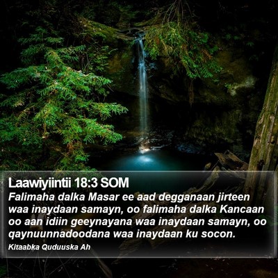 Laawiyiintii 18:3 SOM Bible Verse Image