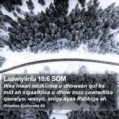 Laawiyiintii 18:6 SOM Bible Verse Image