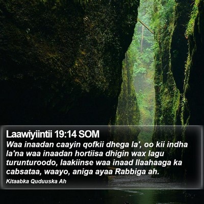 Laawiyiintii 19:14 SOM Bible Verse Image