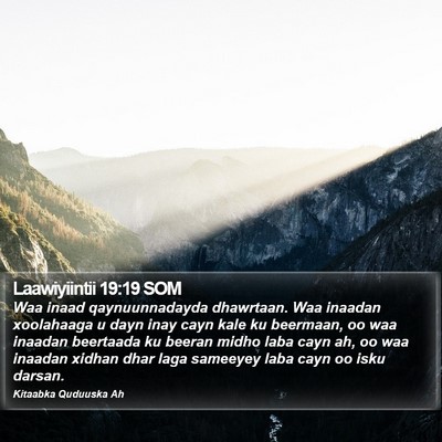 Laawiyiintii 19:19 SOM Bible Verse Image