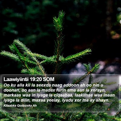 Laawiyiintii 19:20 SOM Bible Verse Image