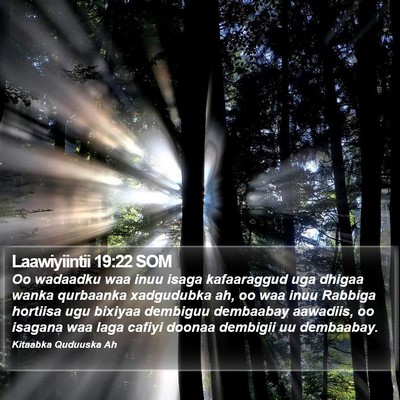 Laawiyiintii 19:22 SOM Bible Verse Image