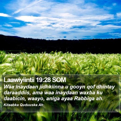 Laawiyiintii 19:28 SOM Bible Verse Image