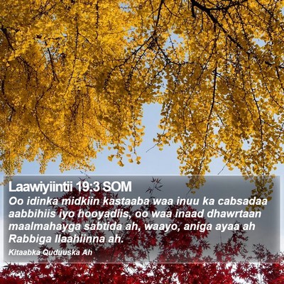 Laawiyiintii 19:3 SOM Bible Verse Image